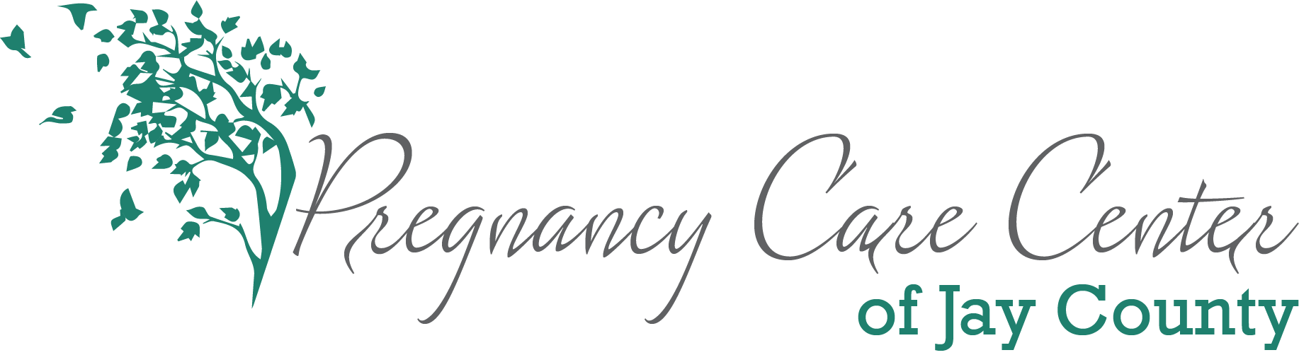 Logo for Pregnancy Care Center of Jay County