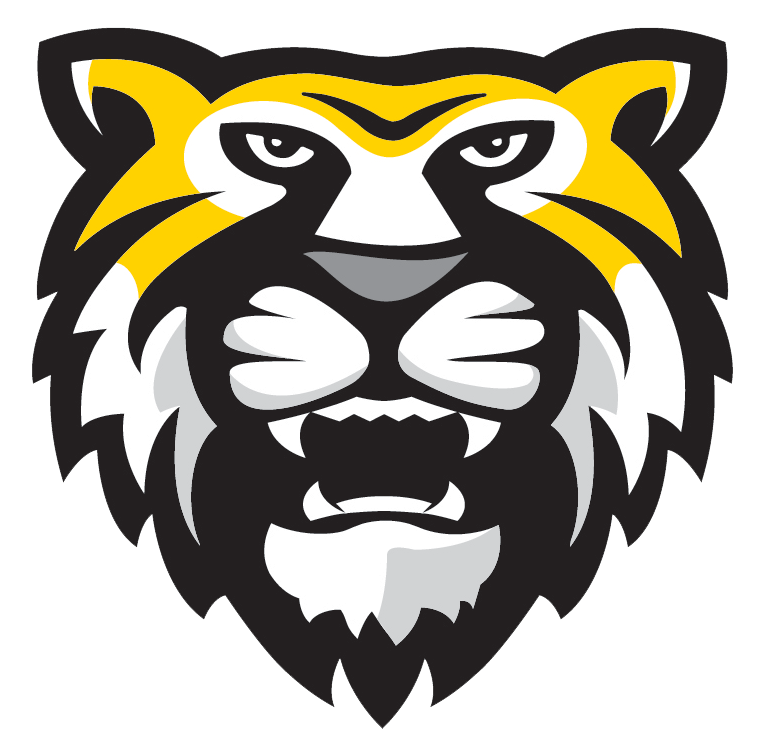 Cardio Drumming 50+ - Cleveland Heights Athletics - 28 Hopewell Ave, Tiffin, OH 44883, USA